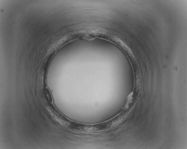 X0000083010493200702231816