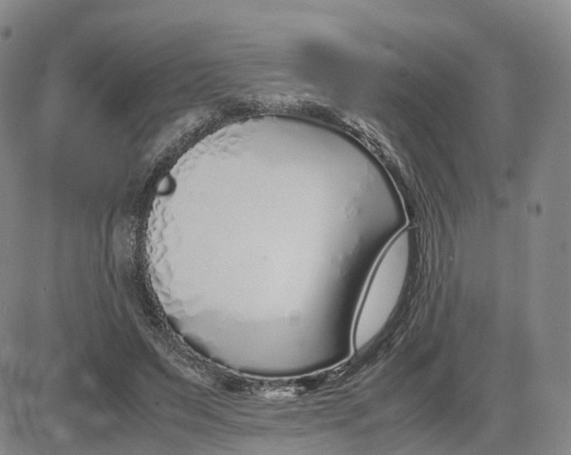 X0000083010495200702231816