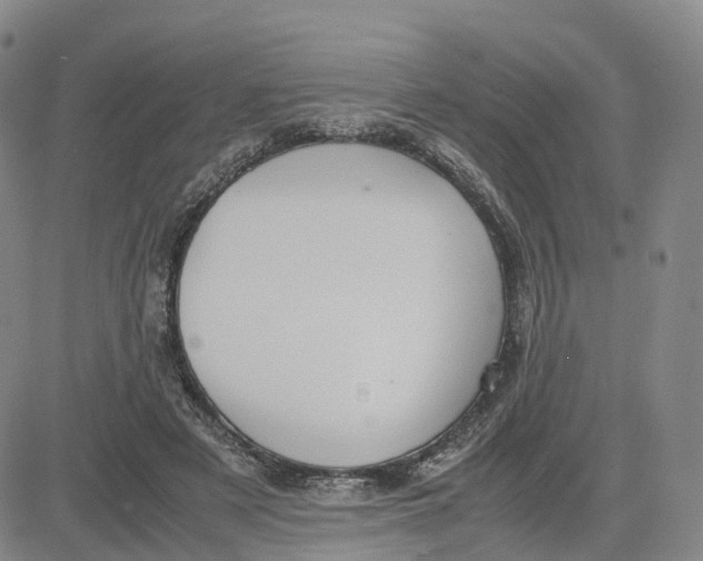 X0000083010497200702231816