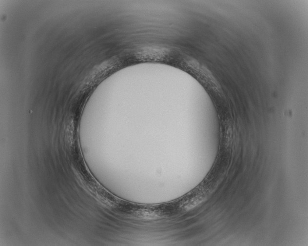 X0000083010498200702231816