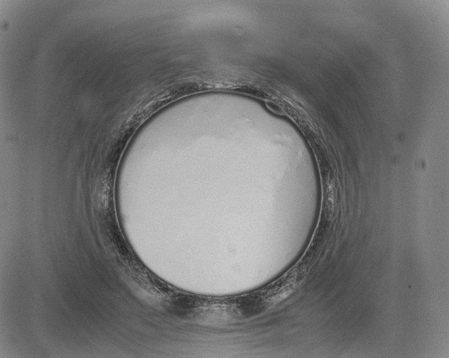 X0000083010499200702231816