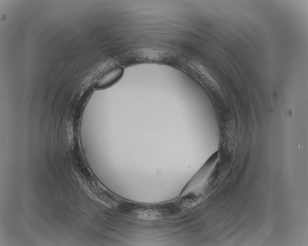 X0000083010500200702231816