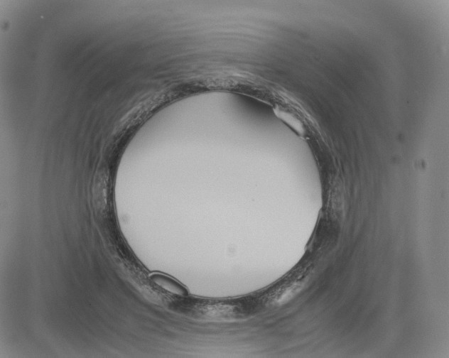 X0000083010501200702231816