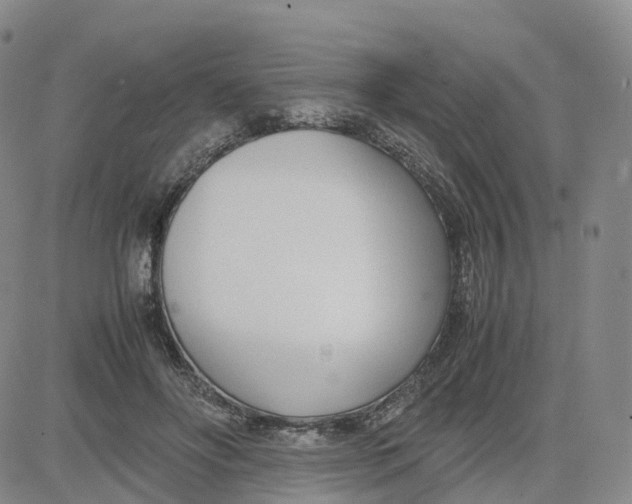 X0000083010502200702231816