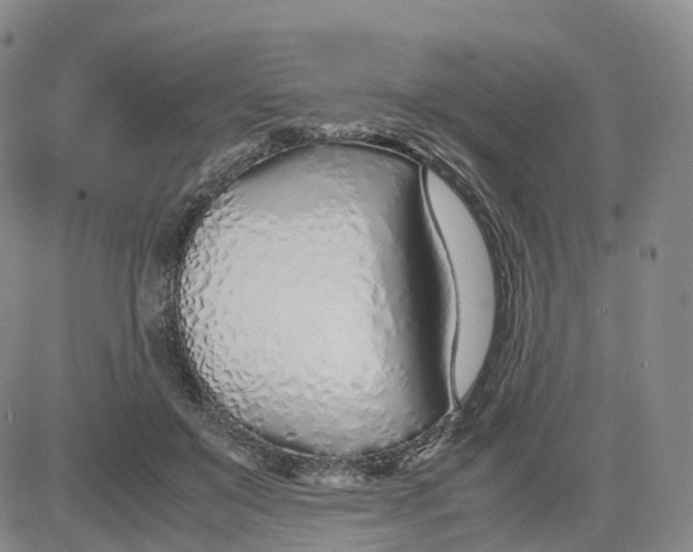 X0000083010503200702231816