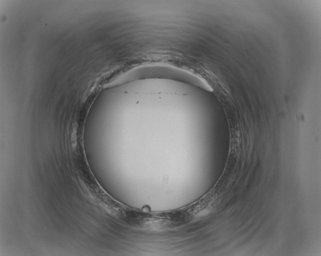 X0000083010504200702231816