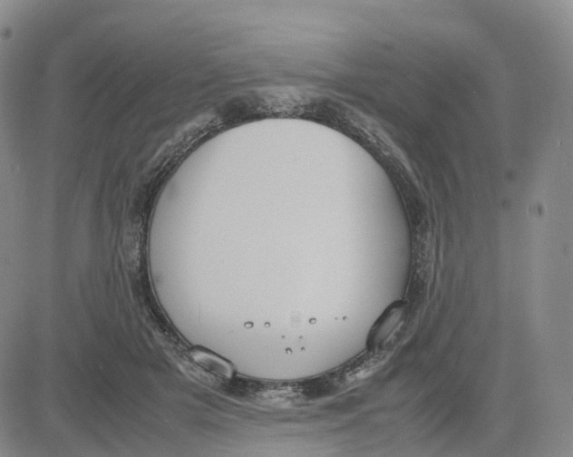 X0000083010505200702231816