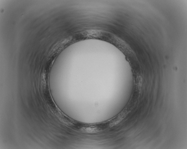 X0000083010506200702231816