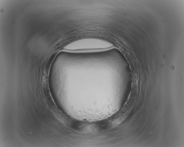 X0000083010507200702231816