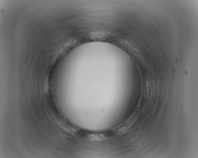 X0000083010508200702231816