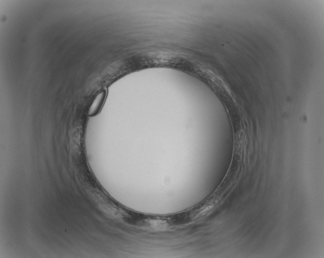 X0000083010509200702231816