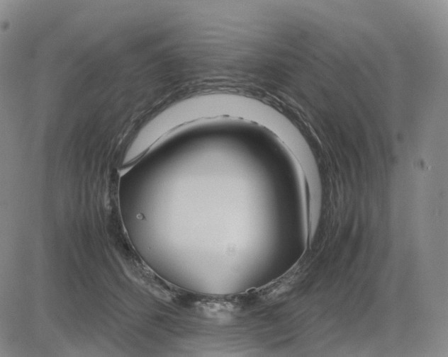 X0000083010512200702231816