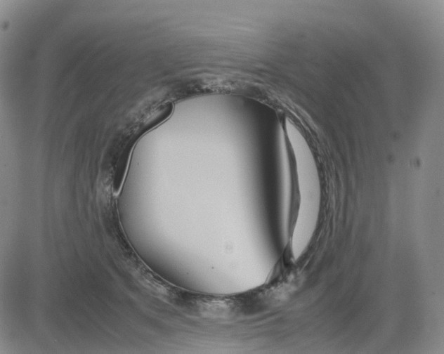 X0000083010513200702231816