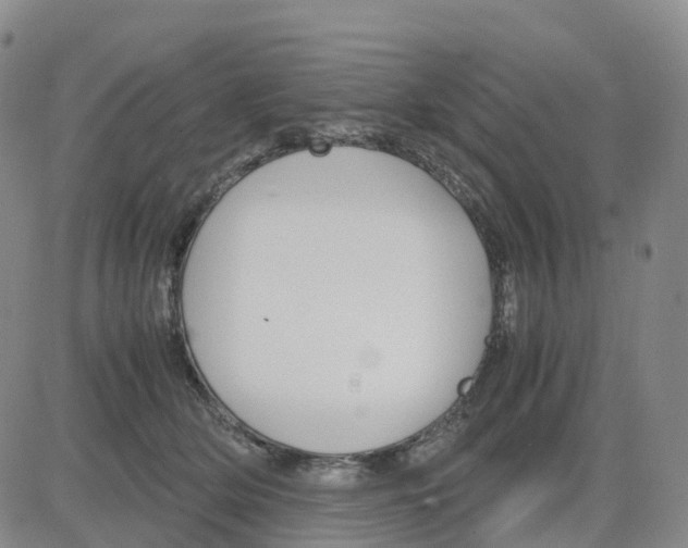 X0000083010514200702231816