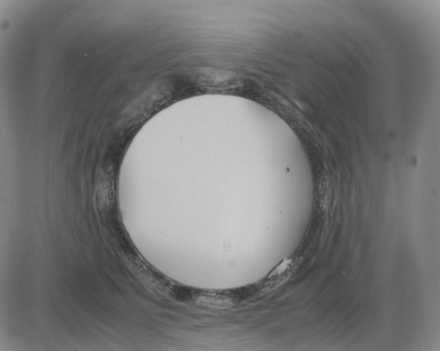 X0000083010515200702231816