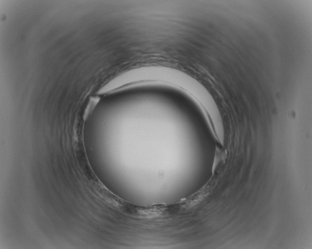 X0000083010516200702231816