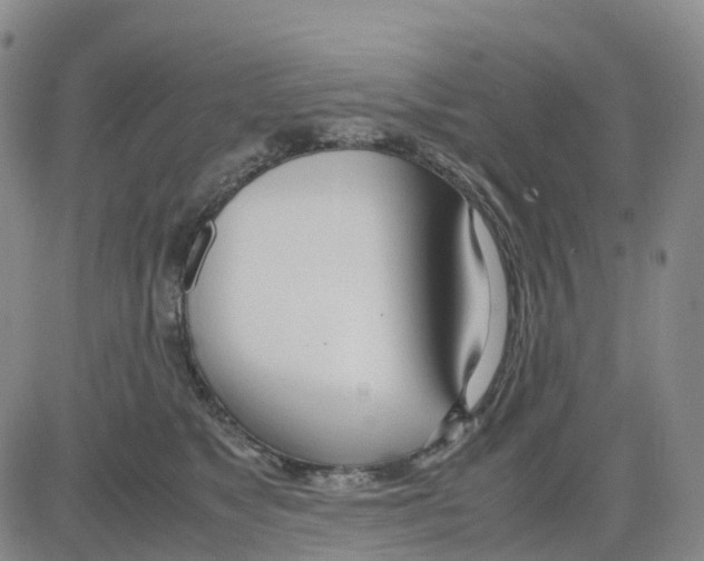 X0000083010517200702231815