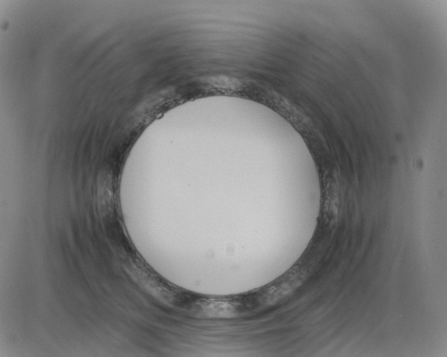 X0000083010518200702231815