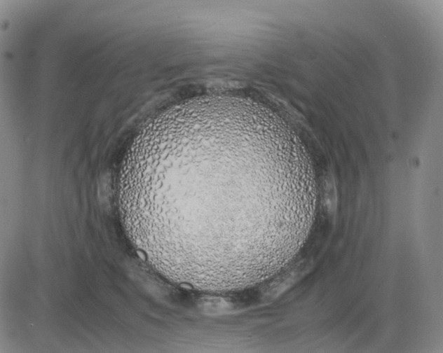 X0000083010519200702231815