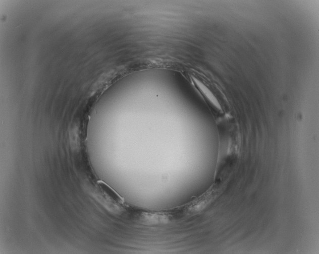 X0000083010520200702231815