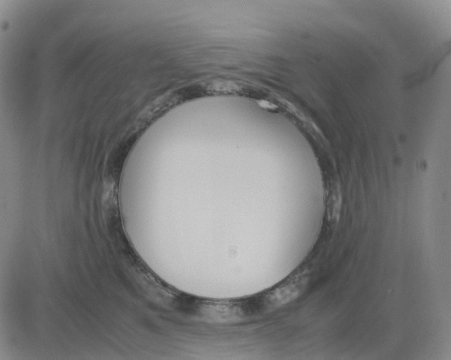 X0000083010521200702231815