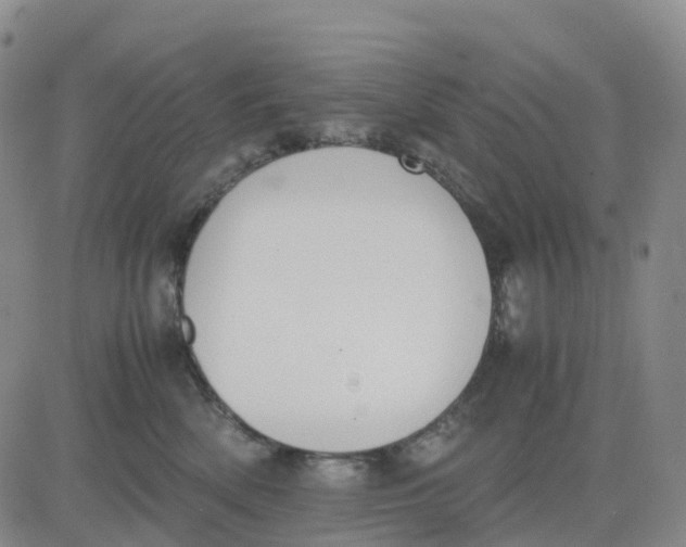 X0000083010522200702231815