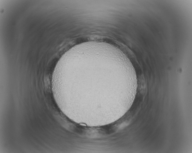 X0000083010523200702231815