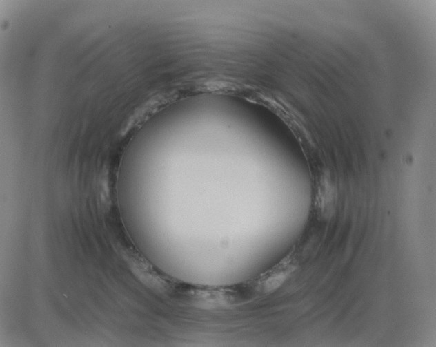 X0000083010524200702231815