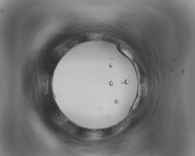 X0000083010525200702231815