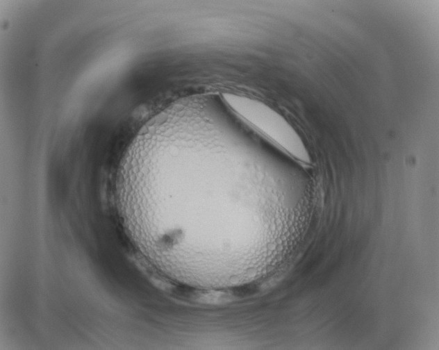 X0000083010527200702231815