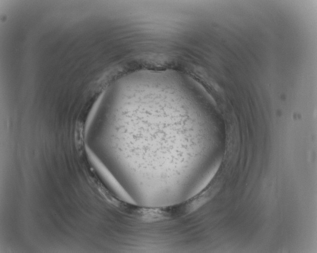 X0000083010528200702231815