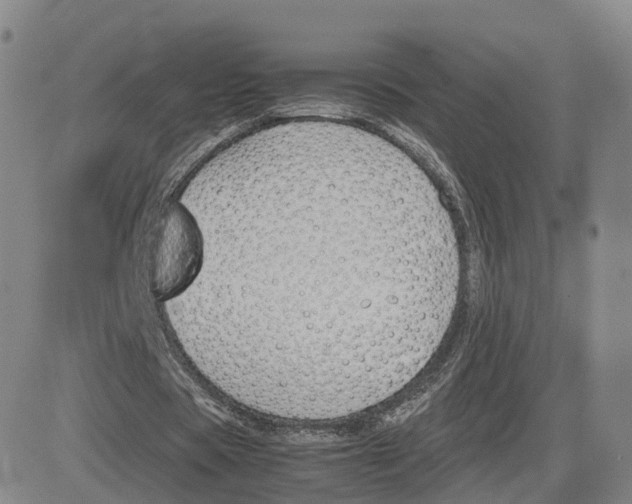 X0000083010529200702231815