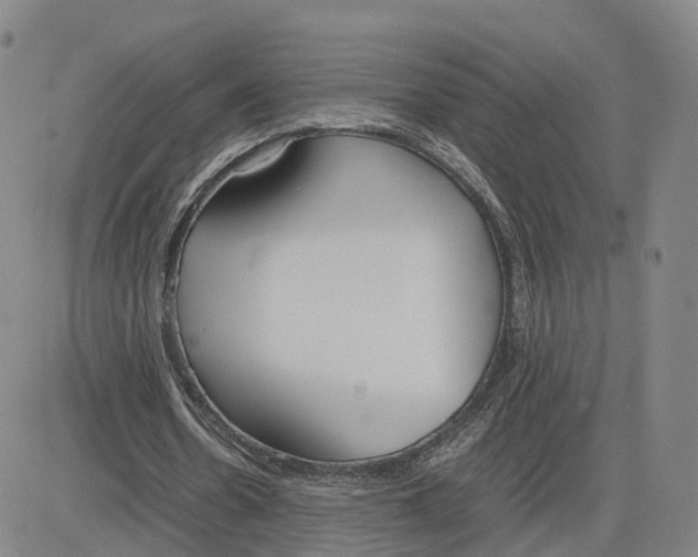 X0000083010530200702231815