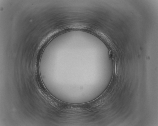 X0000083010531200702231815