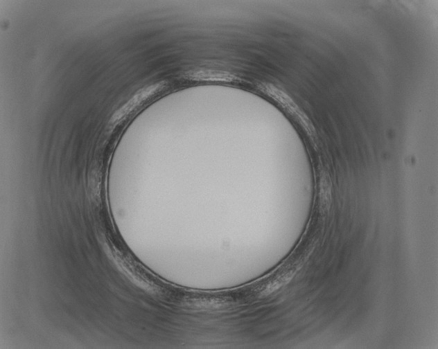 X0000083010533200702231815