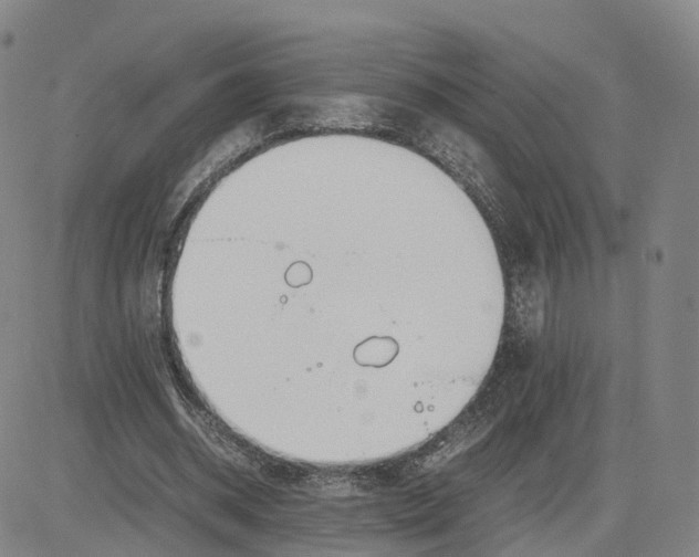 X0000083010534200702231815