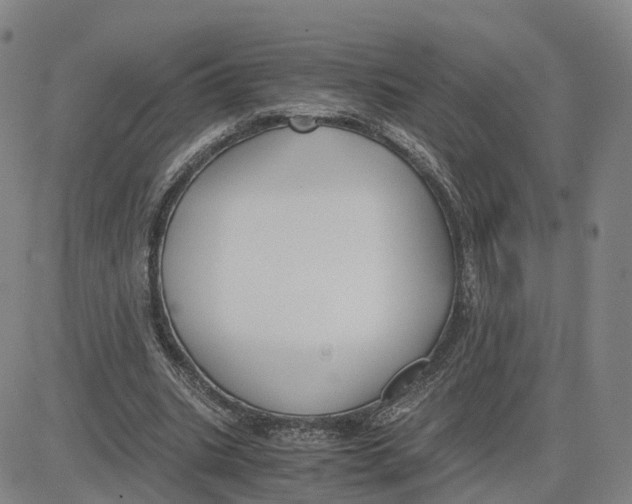 X0000083010535200702231815