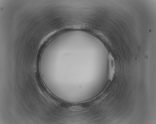 X0000083010536200702231815