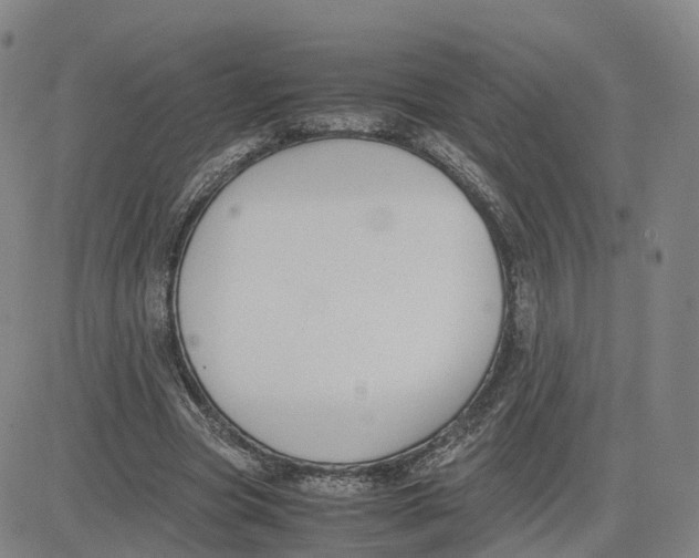 X0000083010537200702231815