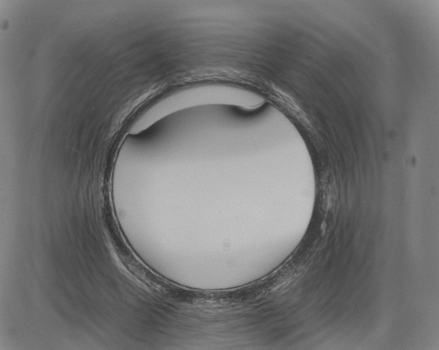 X0000083010538200702231815