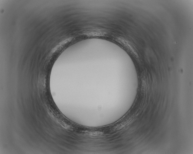 X0000083010539200702231815