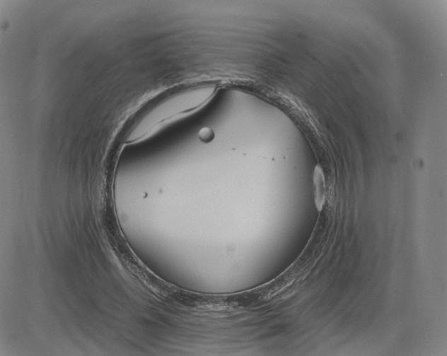 X0000083010540200702231815