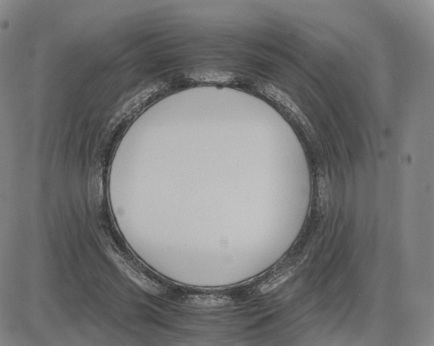 X0000083010541200702231815