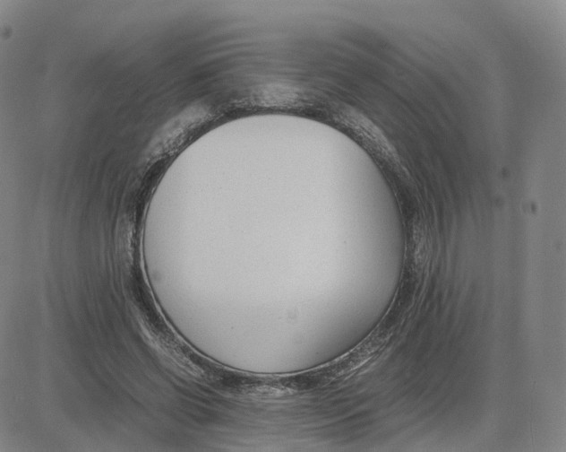 X0000083010542200702231815