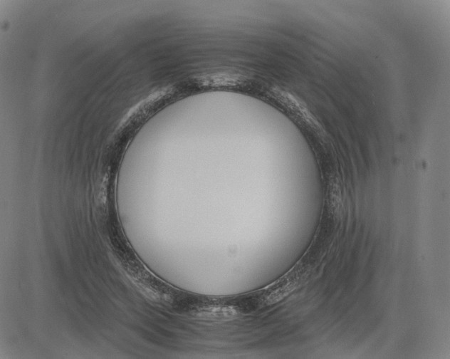 X0000083010543200702231815