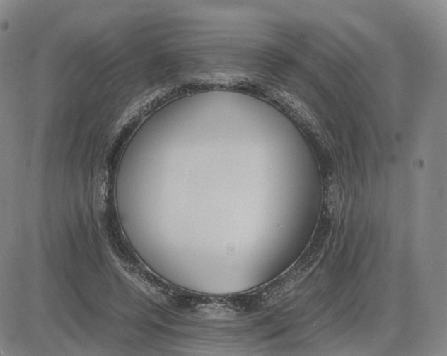 X0000083010544200702231815