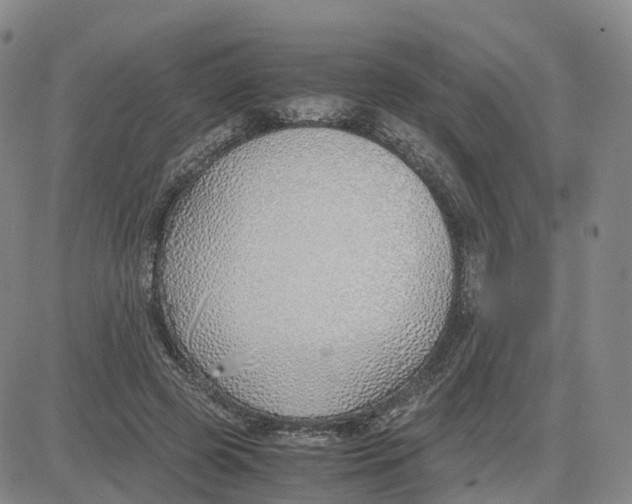 X0000083010545200702231815