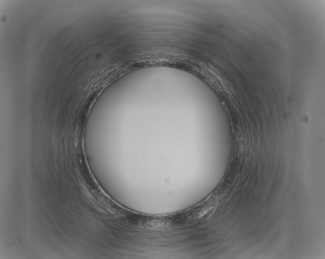 X0000083010546200702231815