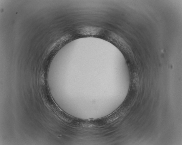 X0000083010547200702231815