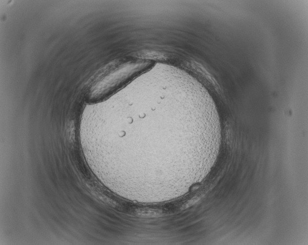 X0000083010549200702231815